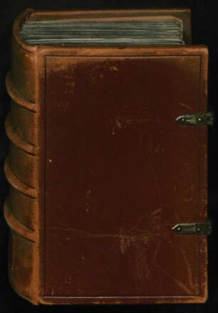 Biblia sacra : Ms. lat. oct. 305
