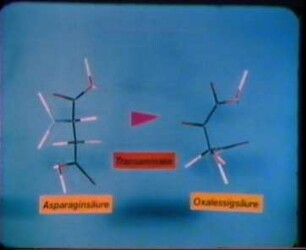 Biochemie - Niedermolekulare Verbindungen IX