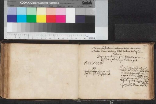 Braun, Gottfried; Blatt 196
