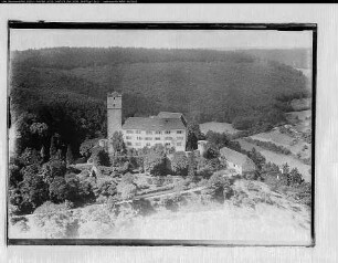 Neckarmühlbach, Burg Guttenberg