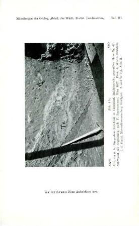 Taf. III. / Abb. 4 b