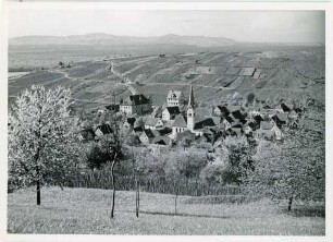 "Der Weinort Ebringen"
