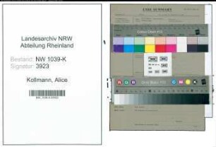 Entnazifizierung Alice Kollmann , geb. 11.05.1903 ()