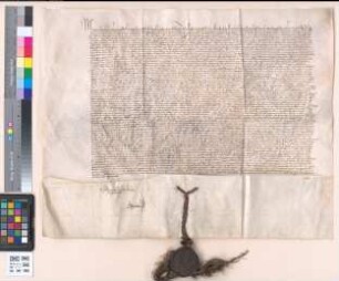 Bestätigung dieser Schenkung von Herzog Maximilian von Österreich, Gemahl von Maria von Burgund.