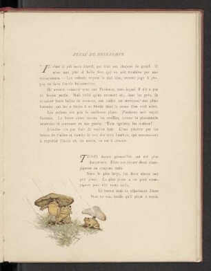 Pluie de printemps.