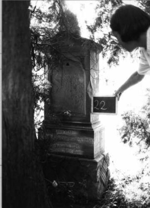 Grabstein 22 (Index: 99753450) Material: Sandstein Zustand: hebräische Schrifttafel fehlt Maße HxBxT: 174x58x30 cm Beschreibung: Stele, getreppter Sockel, Giebel, eingetieftes Schriftfeld mit Rundbogen: Grabstein 22