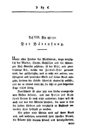 ¬Der¬ Bärenfang : Taf. VIII, Fig. 43 - 50