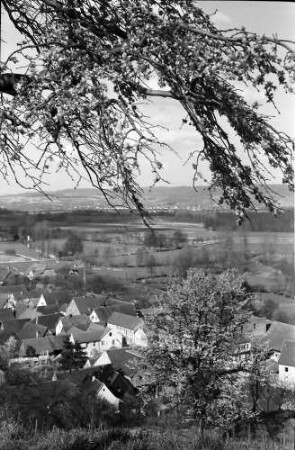 Nimburg: Blick von der Nimburg auf Dorf