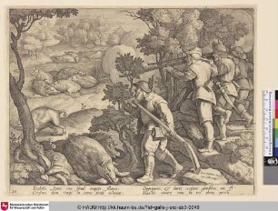 [Wildschweinjagd mit Gewehren; Boar hunt with shotguns]