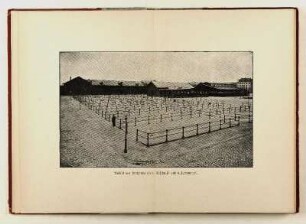 Ansicht des Viehhofes (vom Gasthause aus aufgenommem)