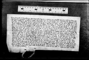 Bernolt von Urbach, Sohn des verstorbenen Ulrich von Urbach, verkauft dem Kuster des Kl. Adelberg sein Gut zu Vorderweißbuch ("Wissebuoch") um 11 lb h.