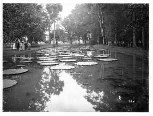 Buitenzorg (Bogor) (Java/Indonesien). Botanischer Garten (1817; K. G. K. Reinwardt). Touristengruppe am Teich mit Victoria Regia gegen Residenz Istana Bogor (Gouverneurspalast)