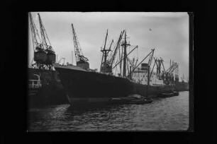 Blankenstein (1956), Frachtschiff (reefer), Norddeutscher Lloyd, Bremen, Bau-Nr. 857