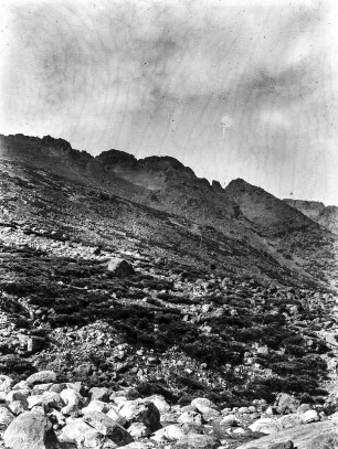 In der Sierra de Gredos : Berghang