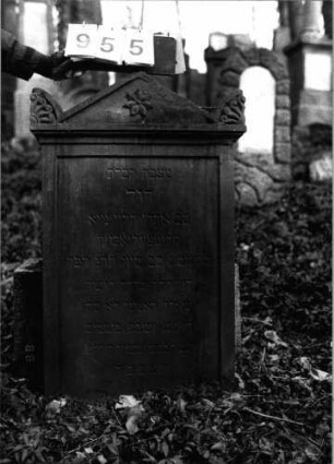 Grabstein 955 (Index: 99802650) Material: Sandstein Zustand: am Giebel zerstört, Inschrift gut Maße HxBxT: 94x55x20 cm Beschreibung: Stele mit verdachtem Giebel, Seitenakroterien Symbolik: Stern, florale Verzierungen der Akroterien: Grabstein 955