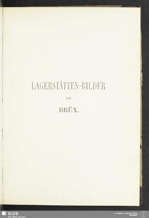 Lagerstätten-Bilder von Brüx