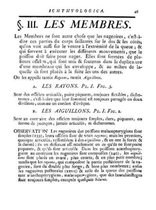 III. Les Membres