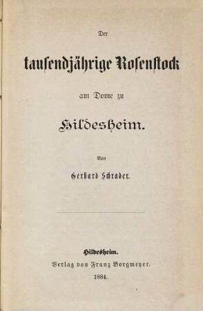 Der tausendjährige Rosenstock am Dome zu Hildesheim