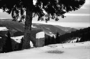 Rohrhardsberg: Blick von Rohrhardsberg auf Oberes Prechtal, Vordergrund Tanne