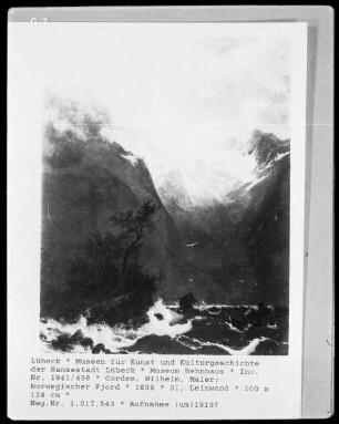 Norwegischer Fjord