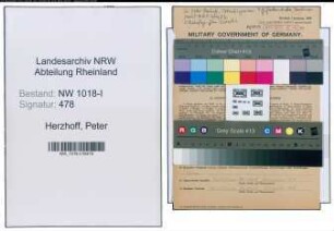 Entnazifizierung Peter Herzhoff , geb. 08.10.1912 (Ingenieur)