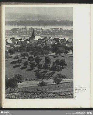 Das Rheingau vom Johannisberg