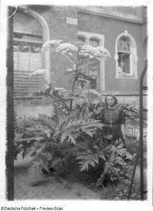 Dresden-Striesen, Borsbergstraße 11. Die Bildhauerin Etha Richter im Vorgarten ihres Ateliers (ehem. Laden des Wohn- und Geschäftshauses)