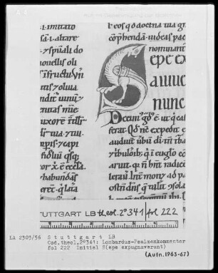 Petrus Lombardus, Psalmenkommentar — Initiale S (epe expugnaverunt) aus einem Drachen, Folio 222recto