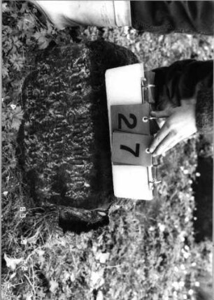 Grabstein 27 (Index: 99791826) Material: Sandstein Zustand: leicht verwittert Beschreibung: Sockel Besonderheit: keine Maßangaben: Grabstein 27