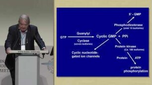 Role of Nitric Oxide and Cyclic GMP in Cell Signaling and Drug Development
