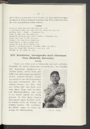XIV. Krankheiten, hervorgerufen durch filtrierbares Virus (Rickettsia, Bartonella)