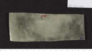 CIL XV 3952 δ, Gelatinefolie