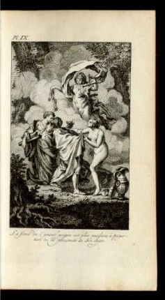 Pl. IX.