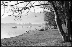 Minusio Locarno: am Seeufer gegen Locarno