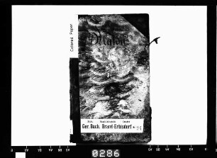 Konsensbuch von Mulda/Sa., Bd. 1