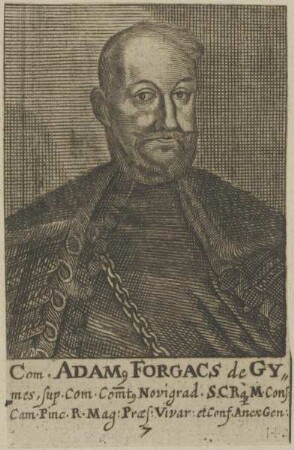Bildnis des Adamus Forgacs de Gymes