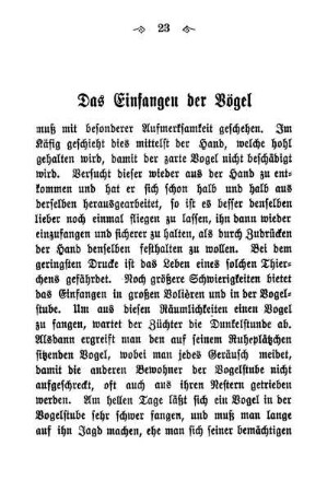 Einfangen der Vögel