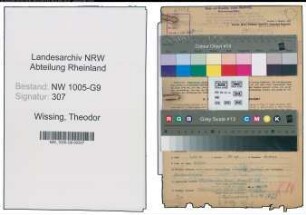 Entnazifizierung Theodor Wissing , geb. 06.11.1913 (Bauingenieur)