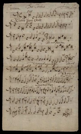 Organum