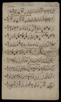 Organum