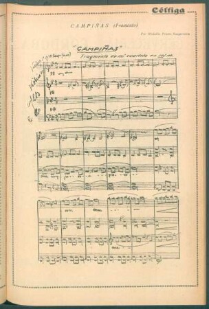 Campiñas (Framento)