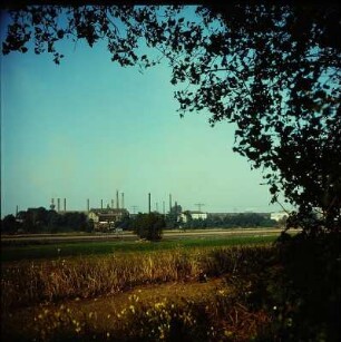 Foto, Riesa