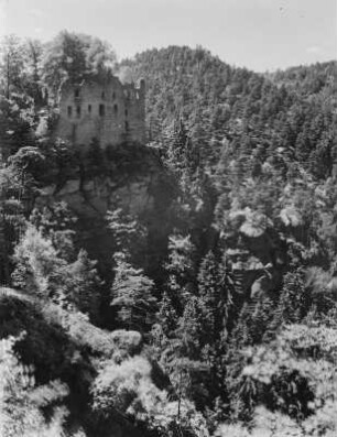Oybin, Berg Oybin : Oybin. Blick zu den Ruinen der Burg Oybin