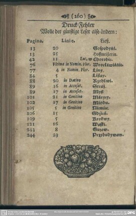 Druck-Fehler