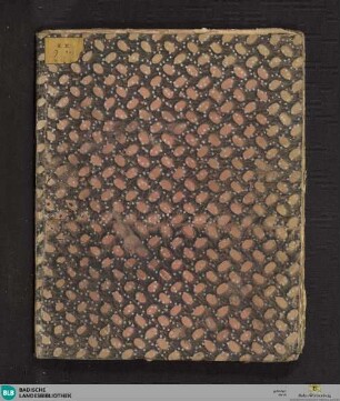 Philosophia pars II - Cod. Ettenheim-Münster 262 : Metaphysica. II. Teil