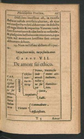 Caput VII. De amore sui ethico.