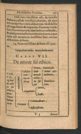 Caput VII. De amore sui ethico.
