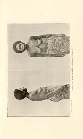 Plate XXIV. Old Negrito woman of Zambales (Pure blood)