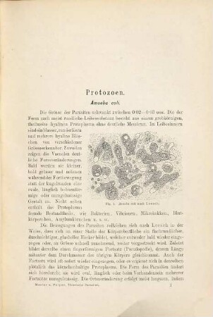 Thierische Parasiten