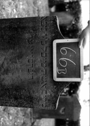 Grabstein 66 (Index: 100111138) Material: Sandstein Zustand: verwittert mit Textverlust Maße HxBxT: 115x58x14 cm Beschreibung: Stele, Konvexbogenabschluß, Schriftfeld eingetieft Symbolik: Blüte: Grabstein 66B